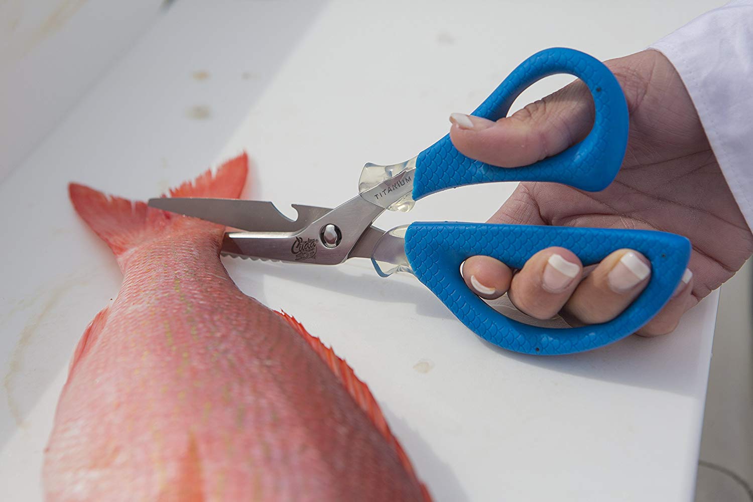 cuda-8-fishing-shears-4 cuda-8-fishing-shears-4