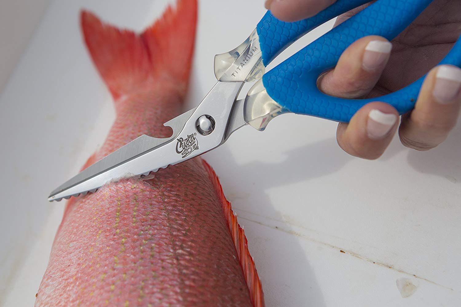 cuda-8-fishing-shears-5 cuda-8-fishing-shears-5